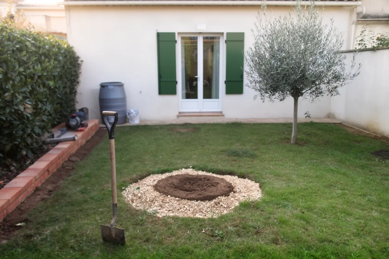 Jardin nivelé après dessouchage à Montpellier